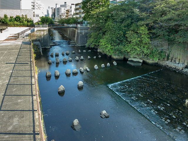イメージ画像