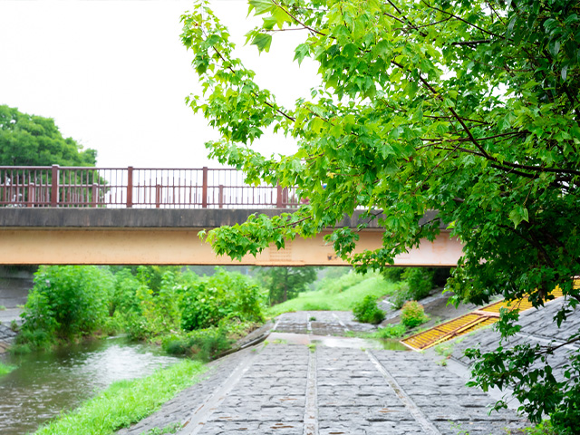 都市部で増加する「内水氾濫」見落とされがちなリスク