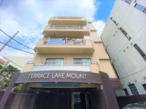 テラス・レイクマウント505の外観