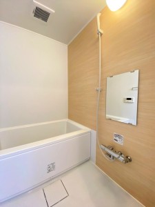 テラス・レイクマウント505の室内7