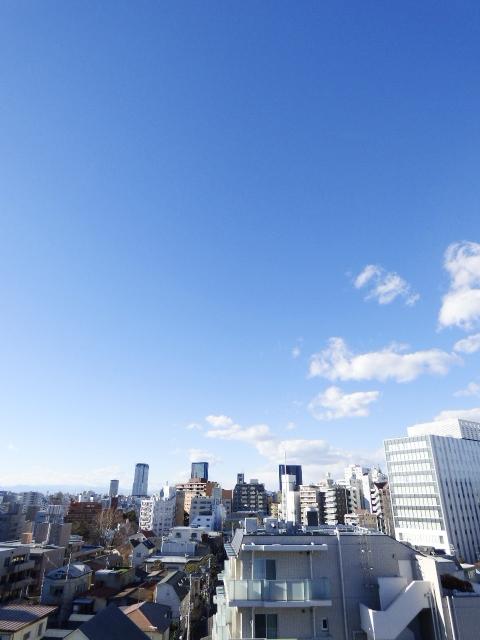 秀和恵比寿レジデンス818の室内7