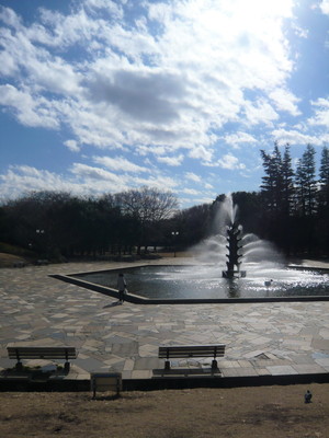 ウェステリア世田谷公園202の室内11