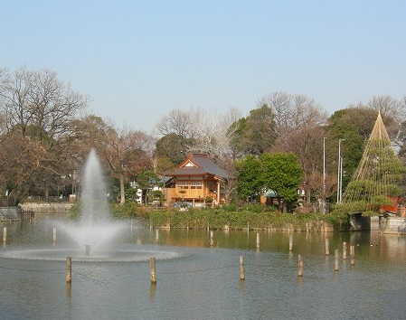 フルール学芸大学301の室内5