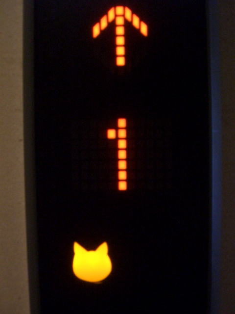 コンフォリア三宿502の室内1