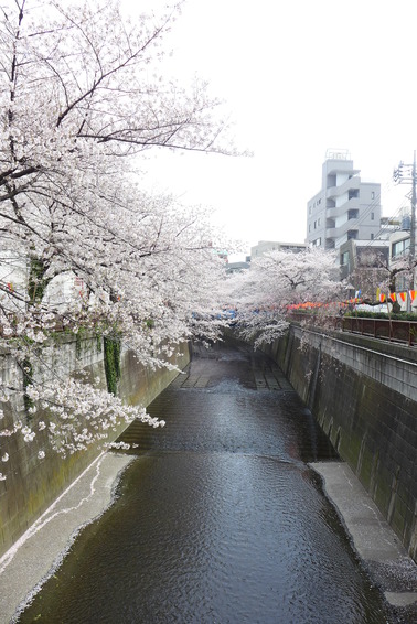 東山ハウス101の室内2