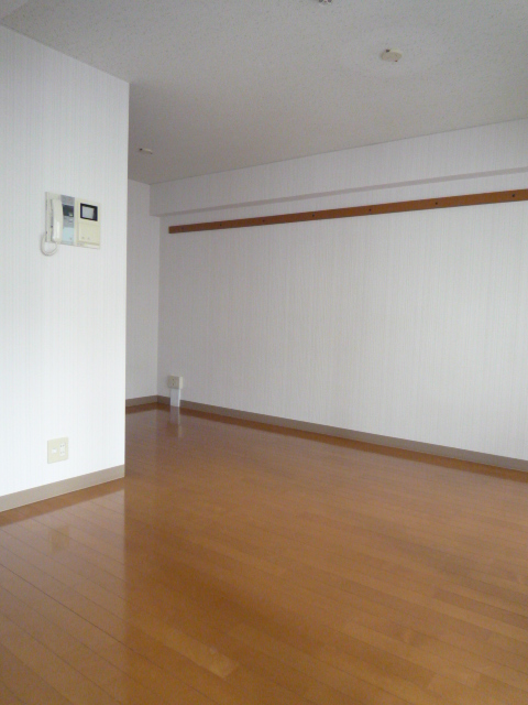 KS代官山307の室内3