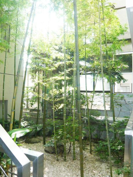 カサ・デ・ソル102の室内5