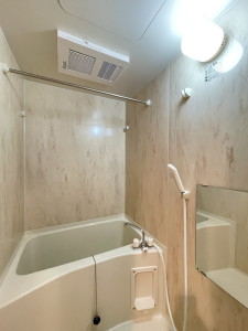 ステージグランデ三軒茶屋アジールコート202の室内8