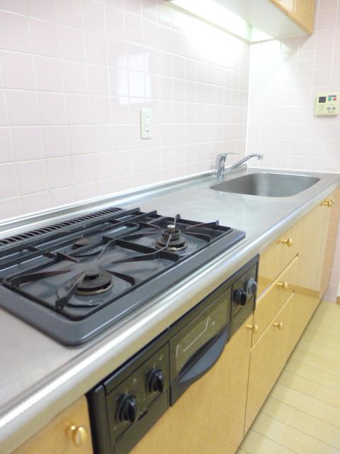 カスタリア目黒502の室内10