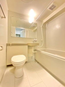 シャトー三宿306の室内7