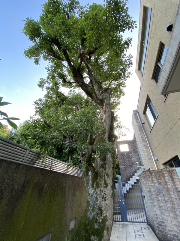 MANOR HOUSE東山(マナーハウス東山)102の室内14