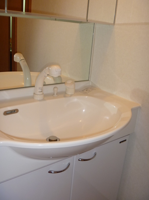 ルーブル祐天寺401の室内5