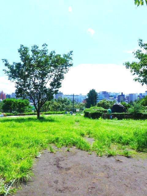 コンフォリア代官山青葉台803の室内11