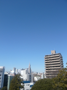サンフェル神宮前109の室内9