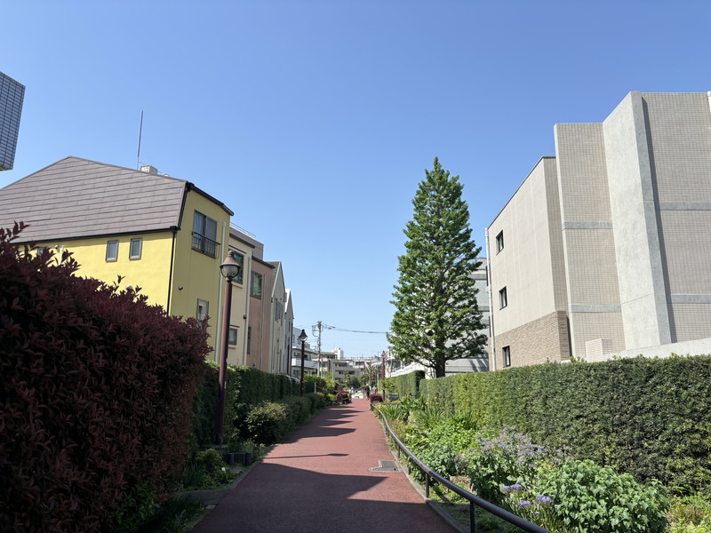 Branche目黒大橋(ブランシェ目黒大橋)204の室内18