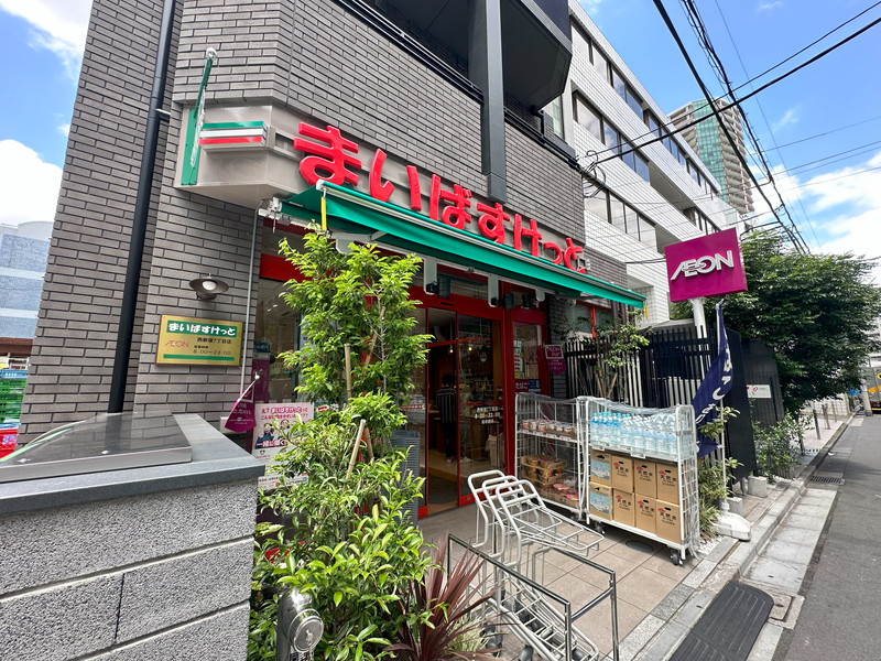 グリーンヒルNAKANO401の室内16