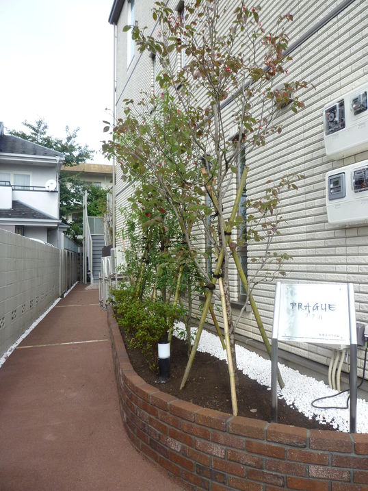 建物画像