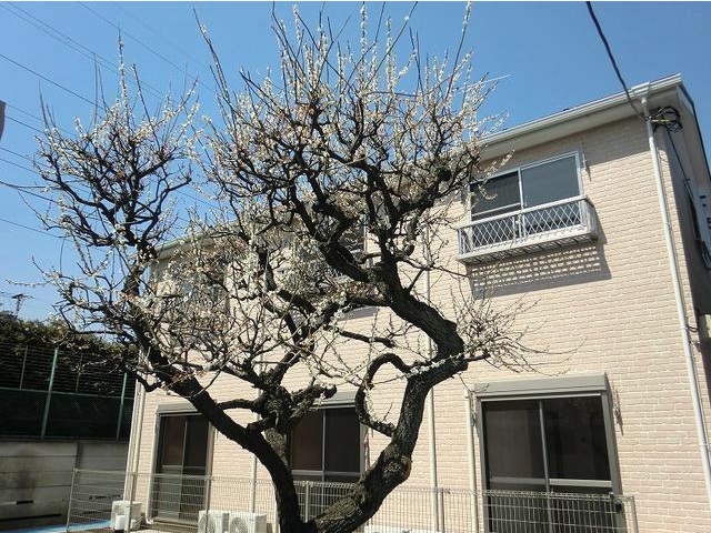建物画像