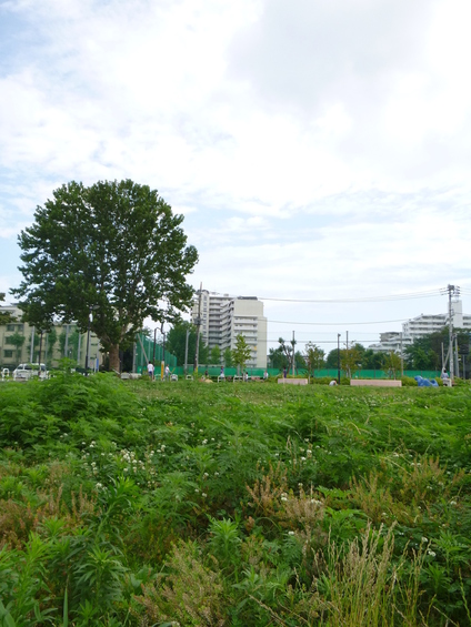 D'グランセ目黒東山203の室内10