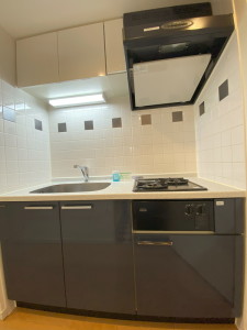 ステージファースト恵比寿二番館202の室内4