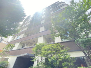 パークリュクス三宿403の外観