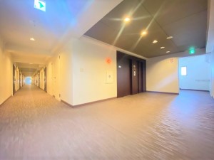 ライオンズマンション三宿523の室内4