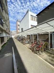 ライオンズマンション三宿523の室内15