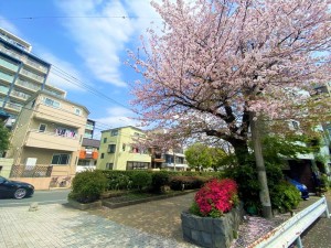 ライオンズマンション三宿523の室内5