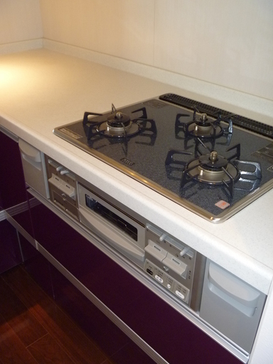 ライオンズマンション三宿523の室内7