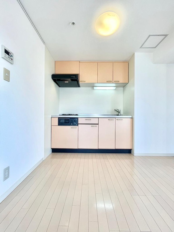 シュライナー池尻1108の室内3