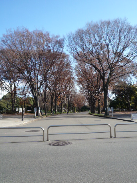 アネックス駒沢公園401の室内10