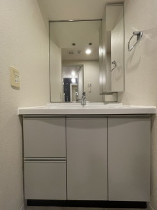 パークアクシス三宿402の室内8