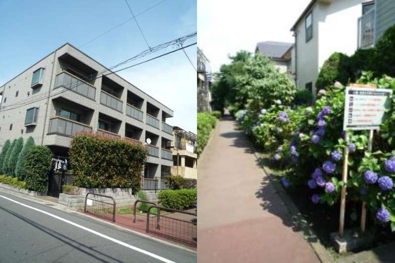 パセオ三軒茶屋205の室内1