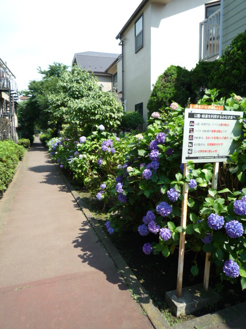 パセオ三軒茶屋205の室内7