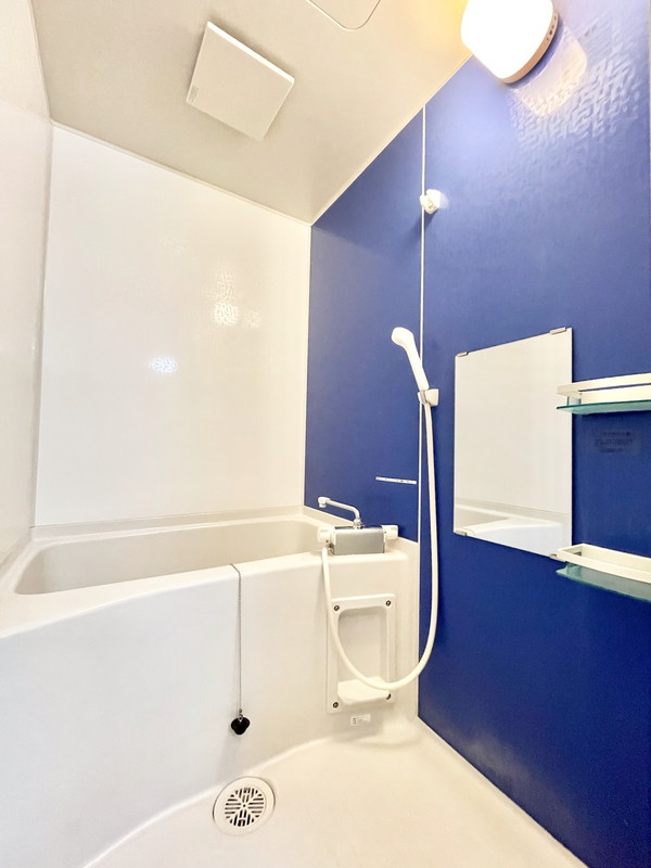 桜ガーデンハイツ103の室内6