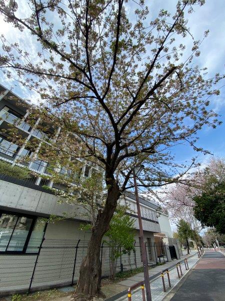 ブリーズヴェール東山803の室内19