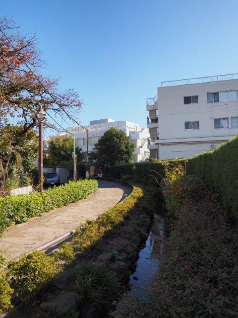 スペーシア池尻大橋202の室内8