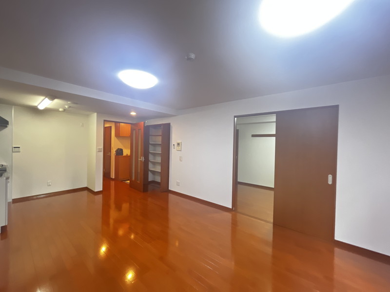 ソリッド大橋203の室内1