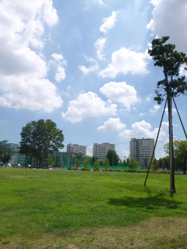 サニィヒルズ東山201の室内7