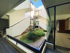 カームハウス東山203の室内7