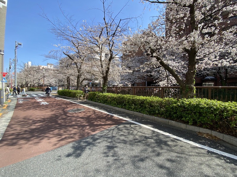 ソリッド大橋903の室内18