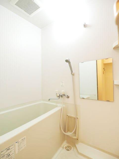 カサ・デ・チェーロ502の室内5