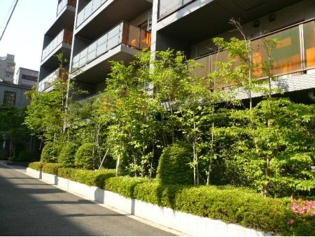 ピアース三宿4階部分の室内5