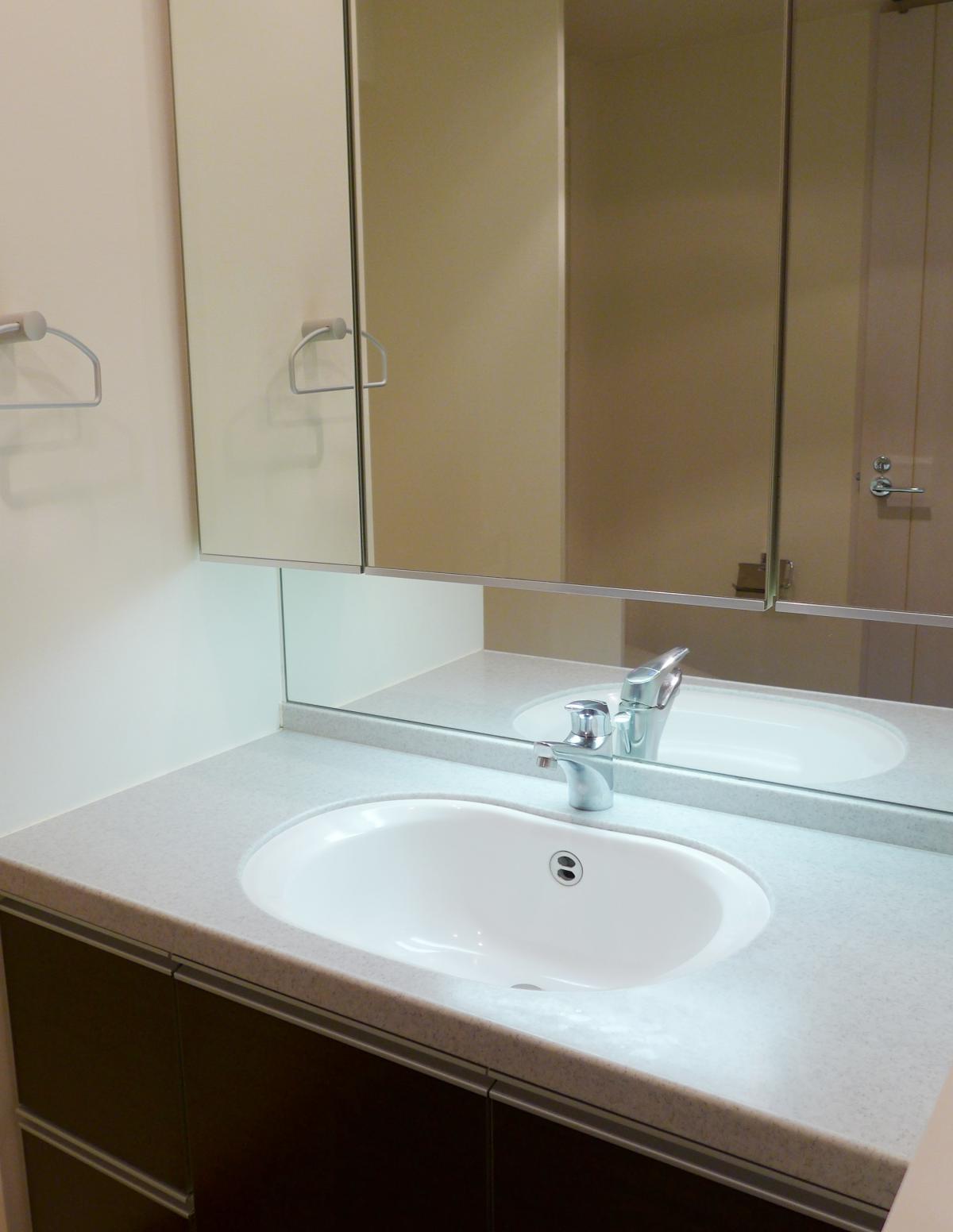 ラ・ヴィタス三軒茶屋602の室内6