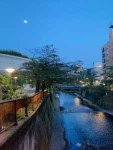 スタイリオ池尻大橋503の室内16