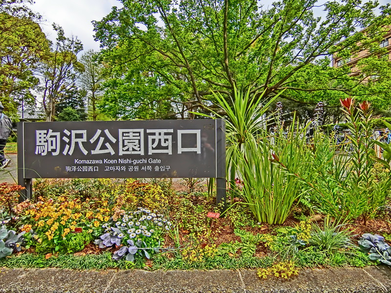 駒沢コーポラス409の室内18