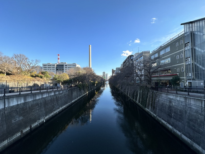 Bourree(ブーレ)204の室内11