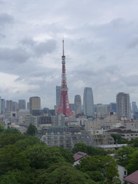 三田綱町パークマンション1608の室内8