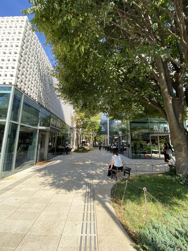 代官山ビリジアン205の室内12