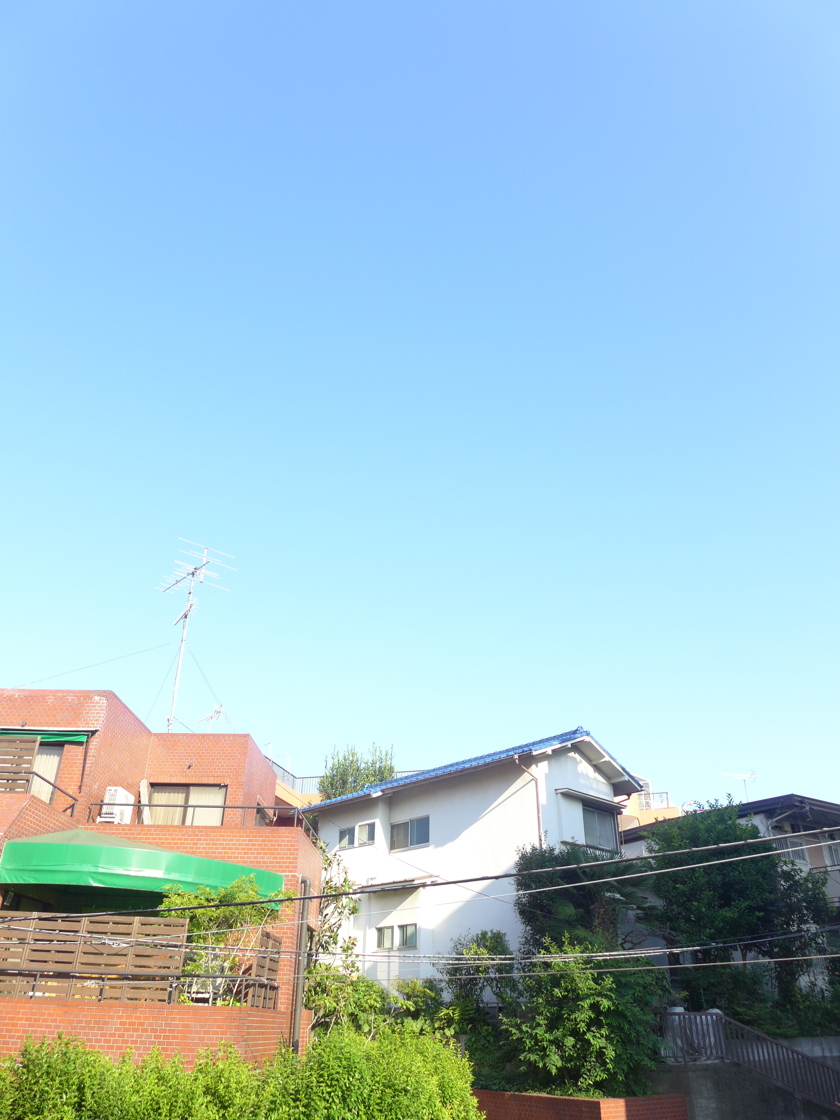 代官山ビリジアン205の室内6